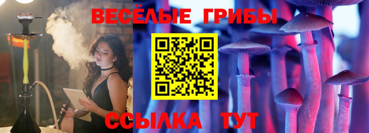 Псилоцибиновые грибы Psilocybe  хочу   Воткинск  Вход с VPN 